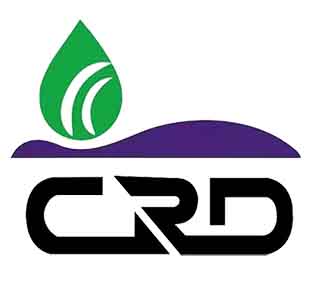 怀化大豆种植灌溉方法